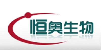 企业通用模版网站